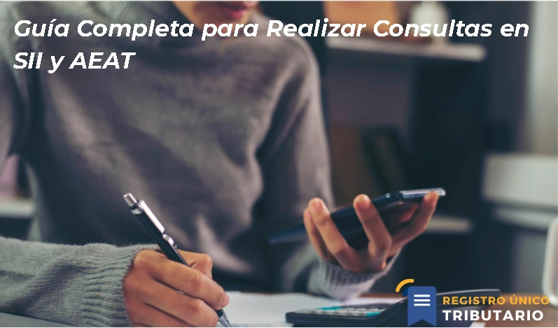 Guía Completa Para Realizar Consultas En Sii Y Aeat