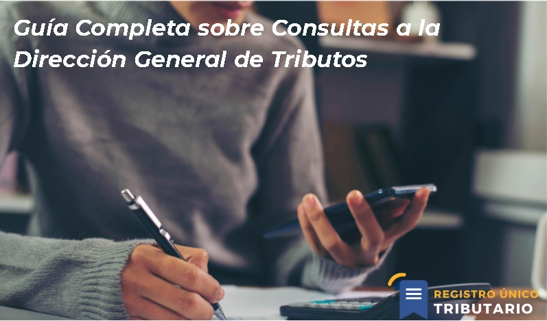 Guía Completa Sobre Consultas A La Dirección General De Tributos