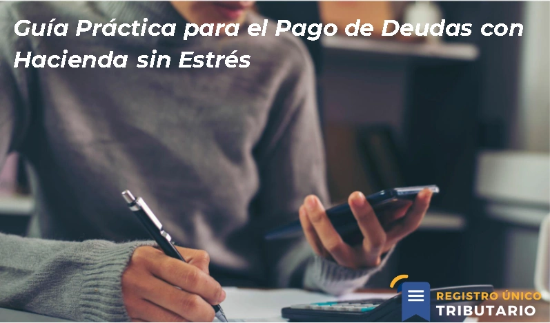 Guía Práctica Para El Pago De Deudas Con Hacienda Sin Estrés