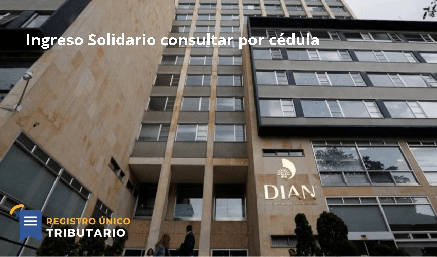 Ingreso Solidario consultar por cédula