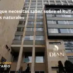 Todo Lo Que Necesitas Saber Sobre El Rut De Personas Naturales