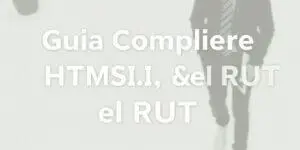 Guía Completa sobre el SII y el RUT para Empresas en Chile