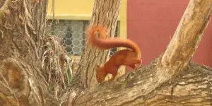 Ver el RUT en Barranquilla