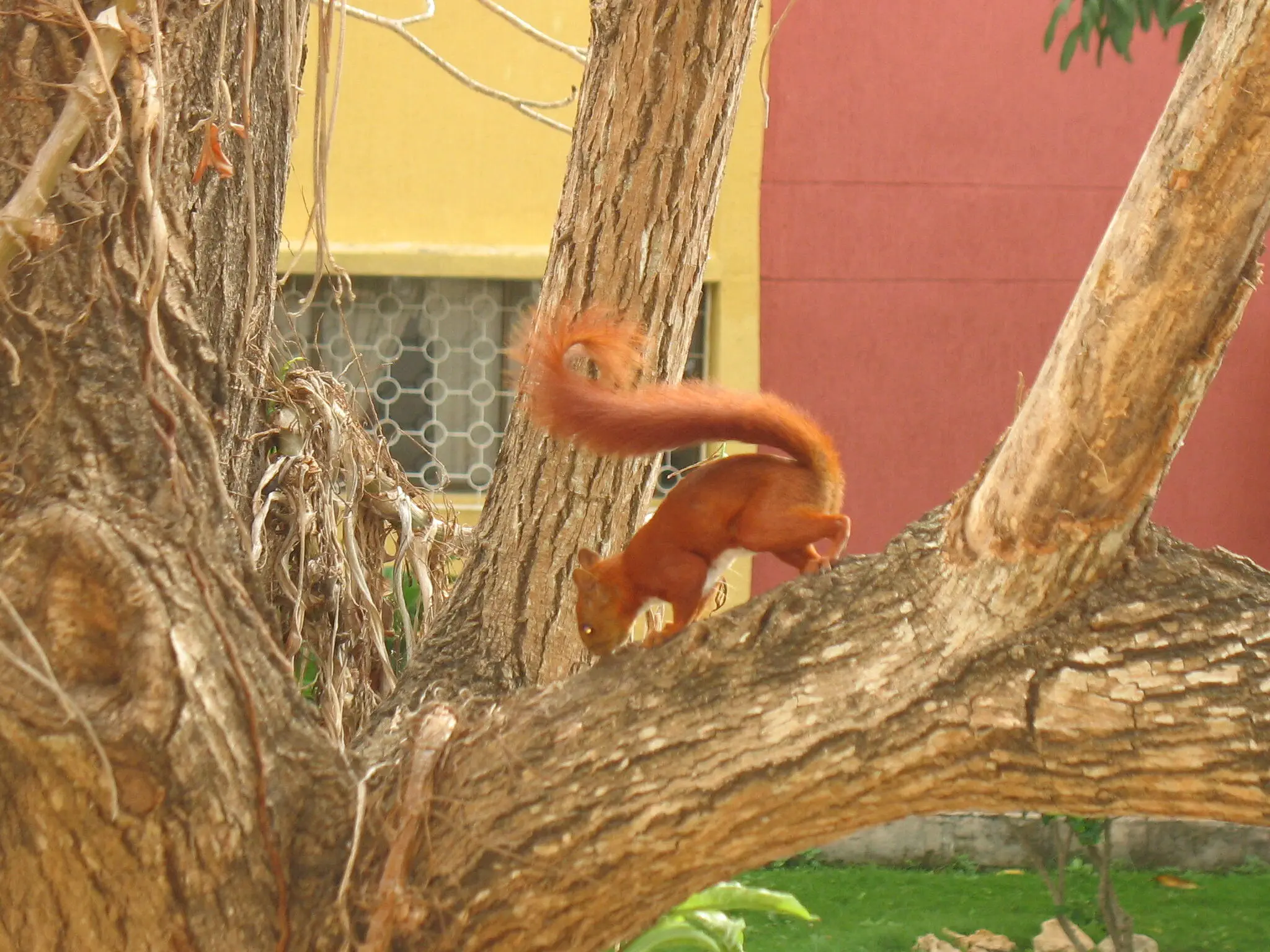 Obtener-RUT-en-Barranquilla 