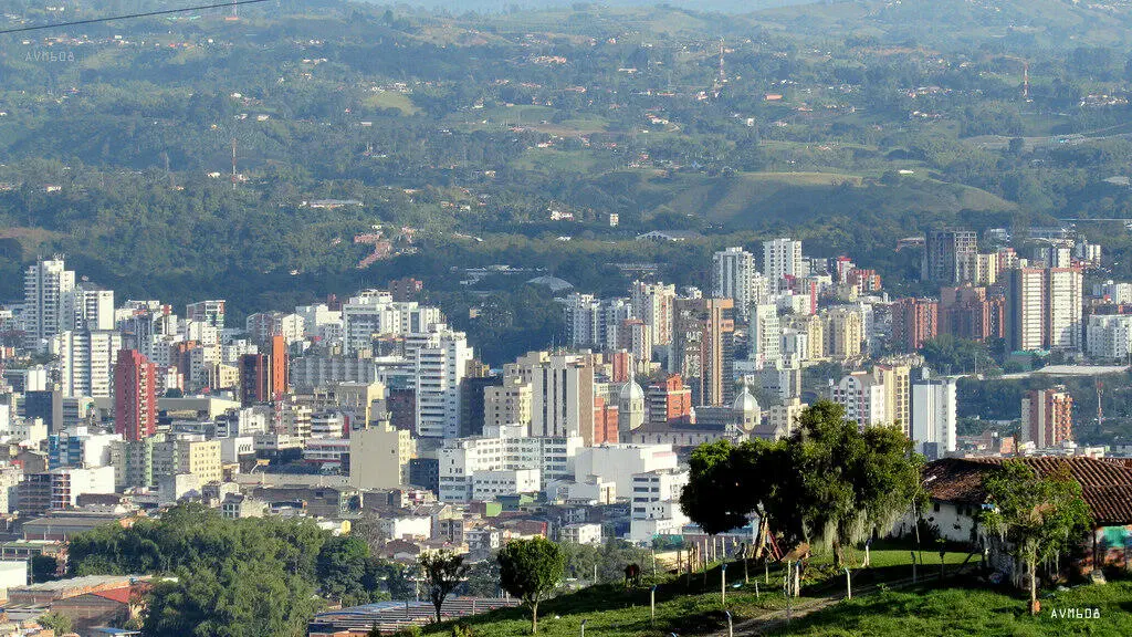 Obtener-RUT-en-Pereira 