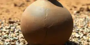 Cómo acceder al agua potable en La Guajira según el Decreto 1050 de 2023