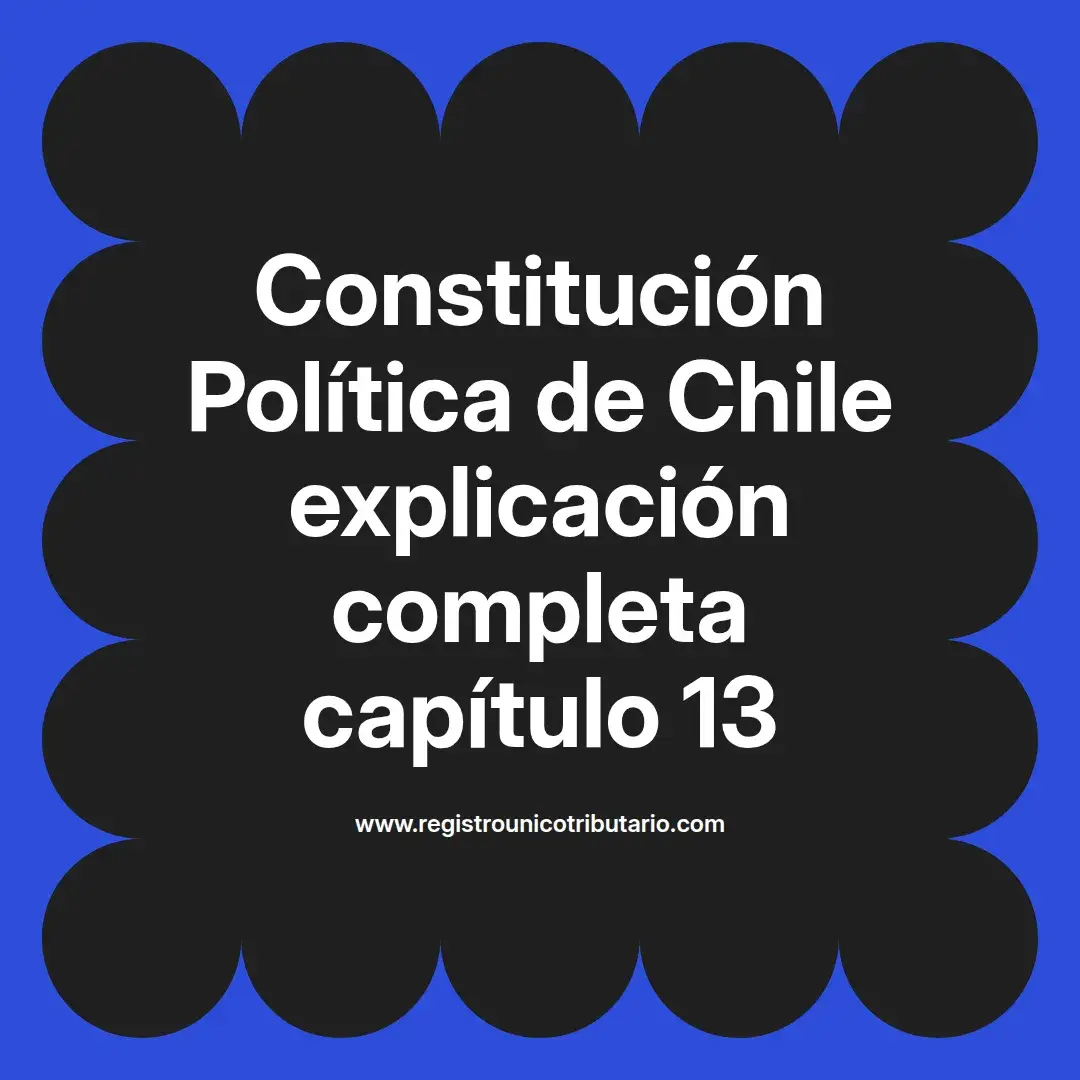 imagen destacada del post con un texto en el centro que dice Constitución Política de Chile explicación completa capítulo 13 y abajo del texto aparece el url de sitio web que es registro unico tributario punto com