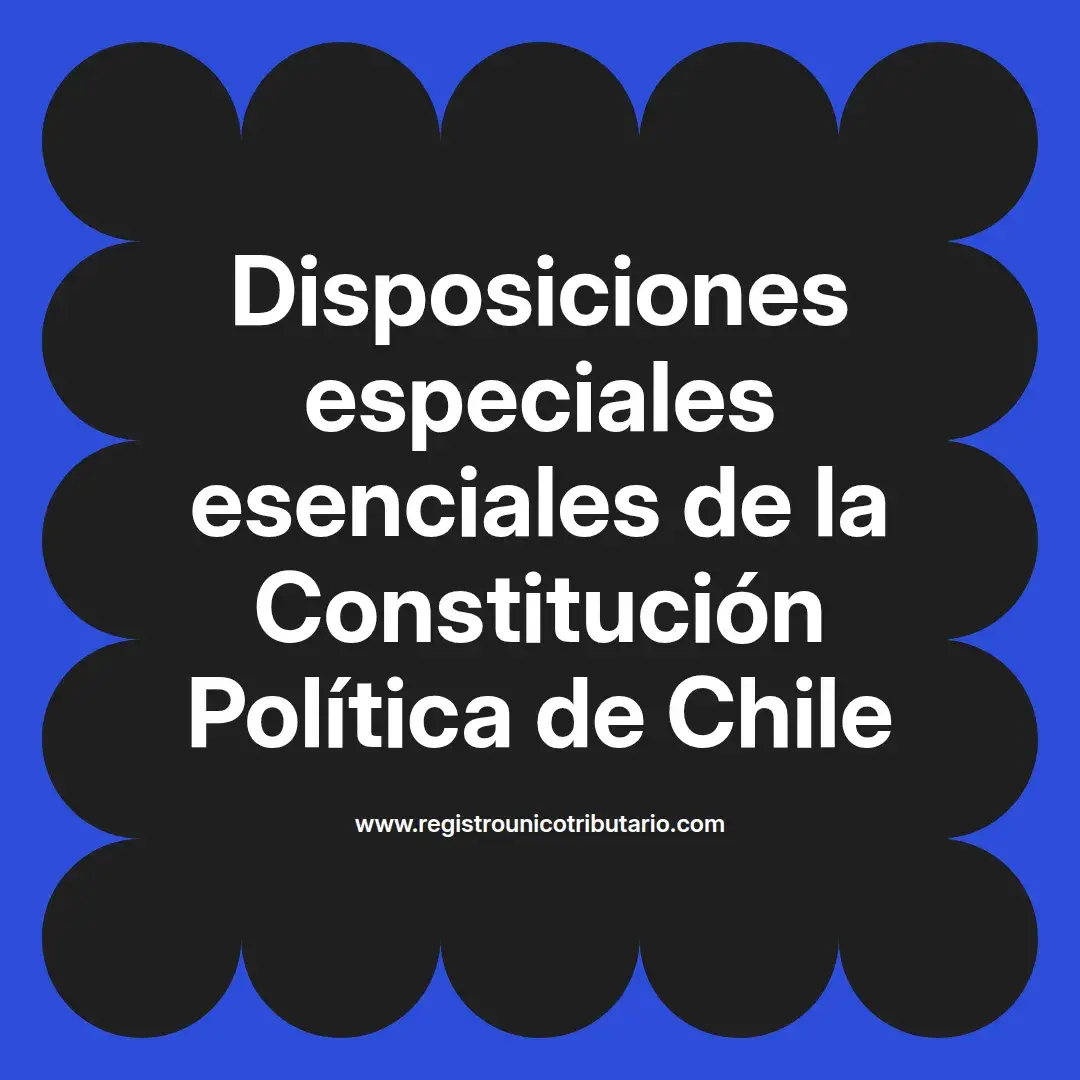 imagen destacada del post con un texto en el centro que dice Disposiciones especiales esenciales de la Constitución Política de Chile y abajo del texto aparece el url de sitio web que es registro unico tributario punto com
