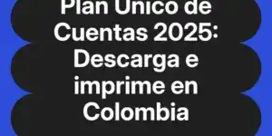 Plan Único de Cuentas 2025: Descarga e imprime en Colombia