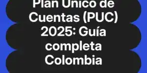 Plan Único de Cuentas (PUC) 2025: Guía completa Colombia