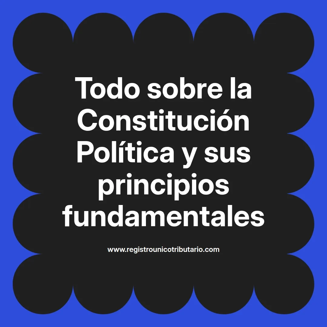 imagen destacada del post con un texto en el centro que dice Todo sobre la Constitución Política y sus principios fundamentales y abajo del texto aparece el url de sitio web que es registro unico tributario punto com